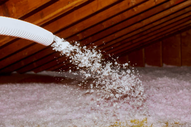 Best Attic Insulation Installation  in Manor, TX