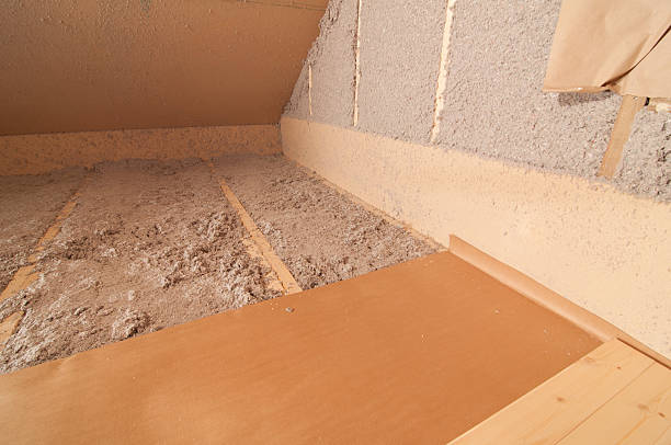 Best Insulation Removal  in Manor, TX