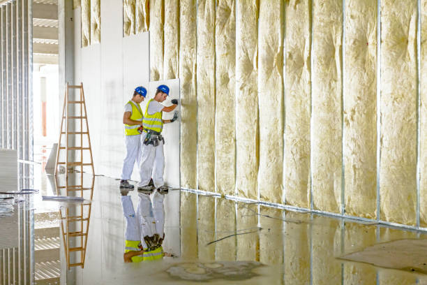 Best Cellulose Insulation  in Manor, TX